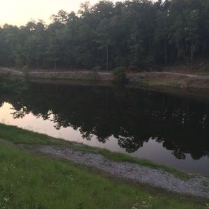 Meet your Posher, Ethan